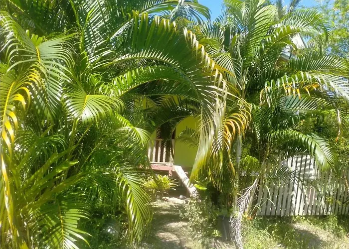 Sukanyawoodhouse